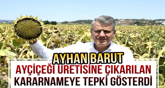 Barut, Ayçiçeği Üreticisine Çıkarılan Kararnameye Tepki Gösterdi