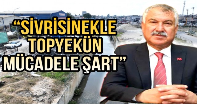 “Sivrisinekle Topyekün Mücadele Şart”