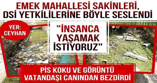 Vatandaşlar, Ceyhan DSİ Yetkililerini Göreve Çağırdı